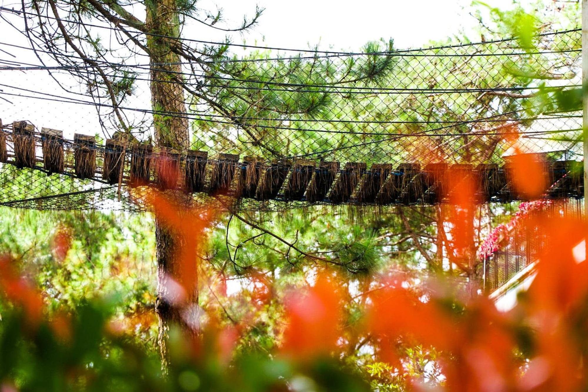 Tudor In The Pines Villa Baguio City Buitenkant foto